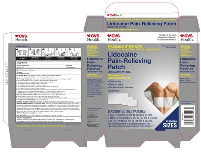 Carton Label (450467 Licocane Patch Assort 6ct Ctn 1 5 2024 Comp Min)